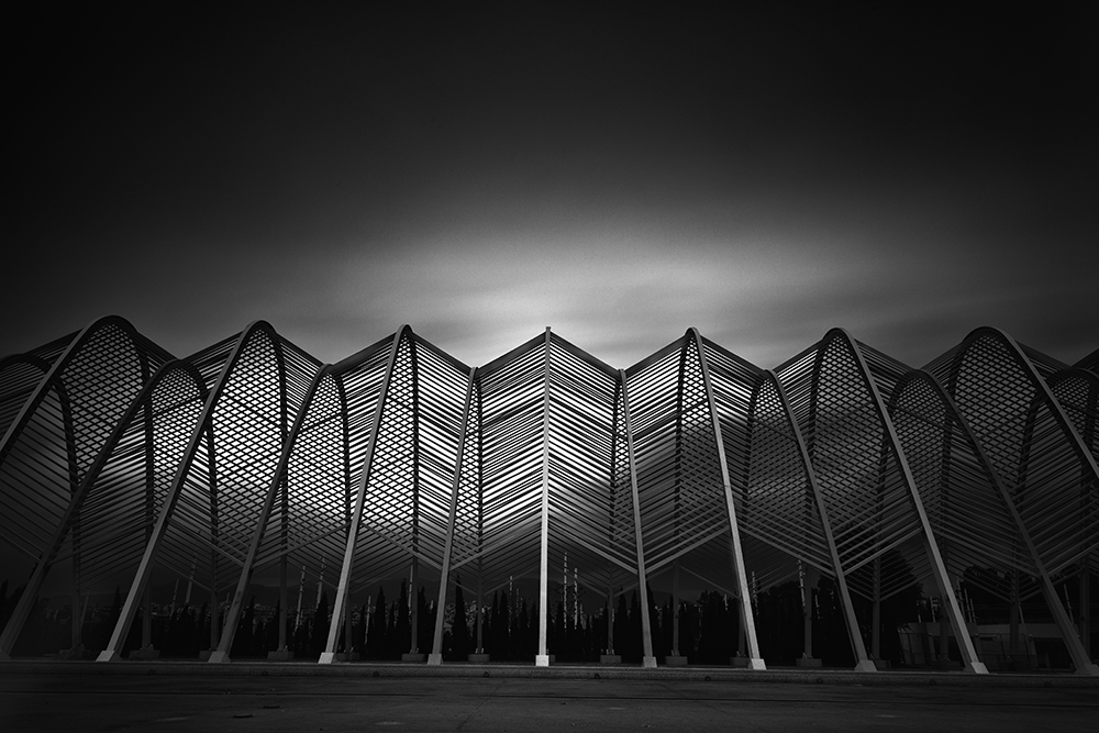 The standard of the soul, Calatrava's Olympic pard.
