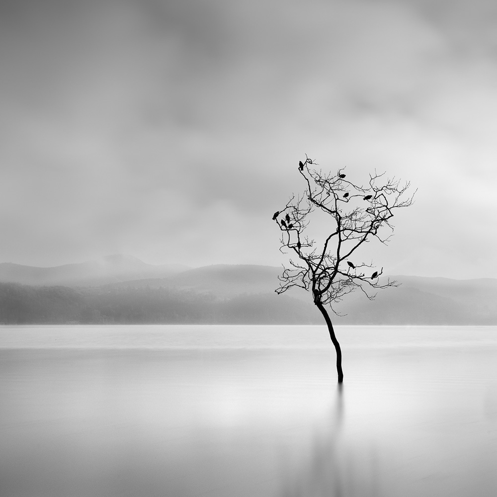 Minimal Waterscapes