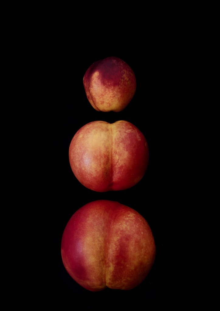Portrait of Fruits