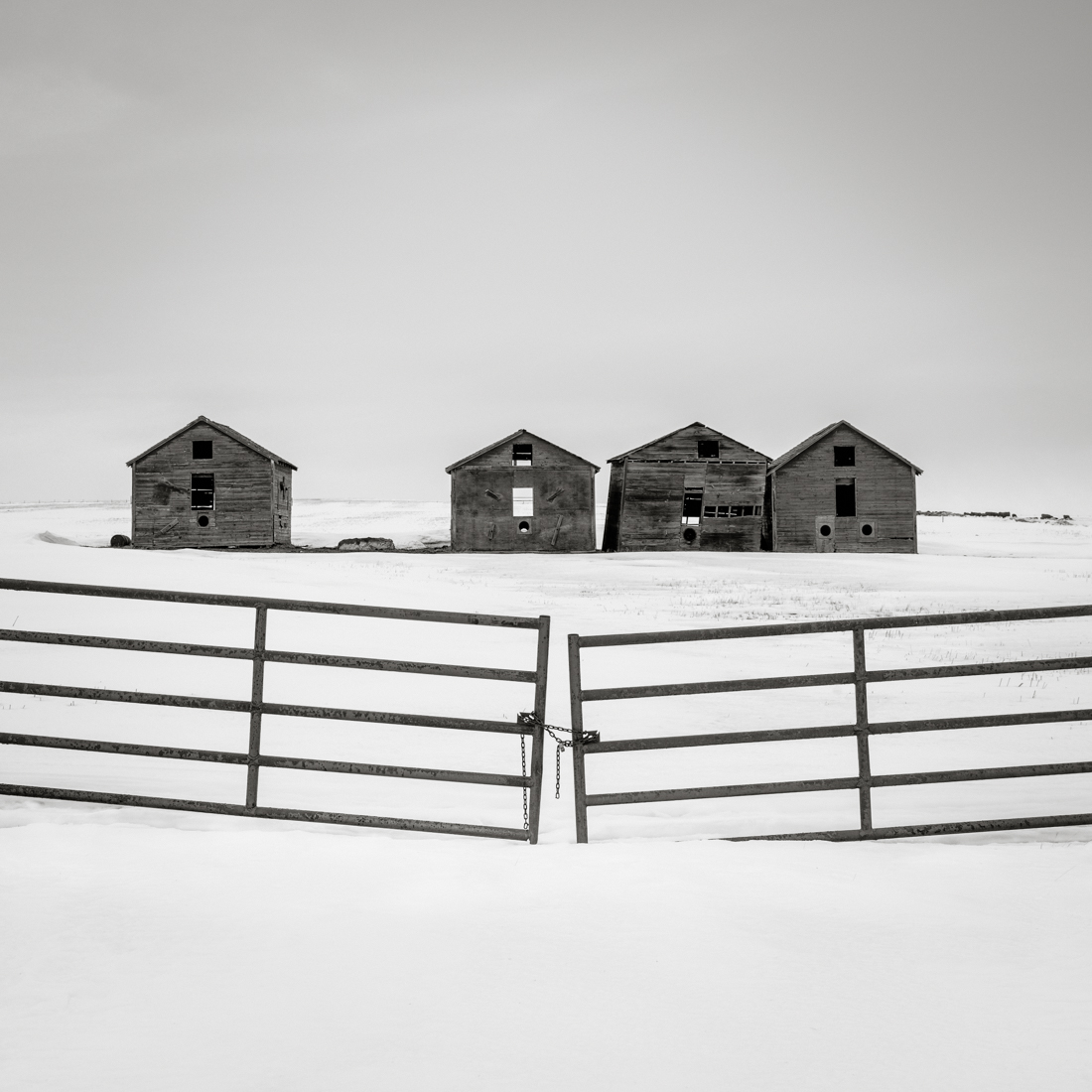 Prairie Winter