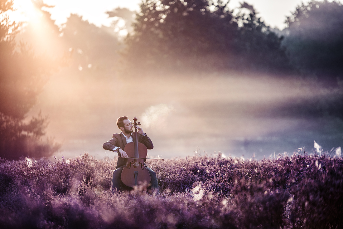 A Cellist's Dream