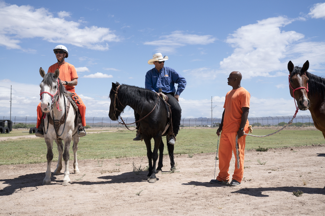 Tamed - the wild horses teaching jailbirds how to tame themselves