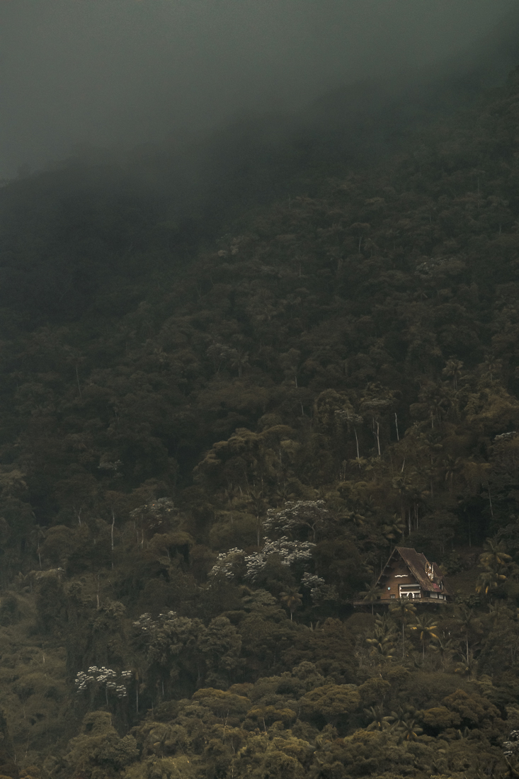 Mystery and Memories in the Brazilian High Mountain Rainforest