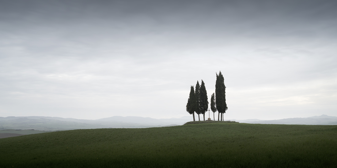 Tuscan Trees