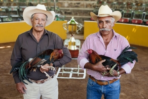 Cockfighters, Mexico
