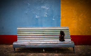 The black cat is watching the tourists in La Boca, Buenos Aires