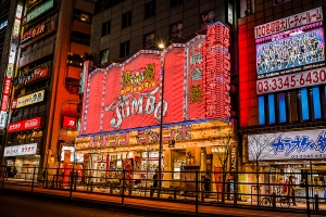 Tokyo Light Show