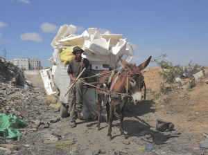 A waste collector returning from his tour in the outskirts of Casablanca