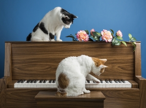 The pianist and his pupil