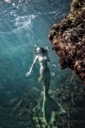 The Mermaid Dream