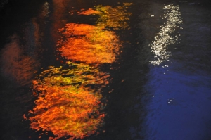 Water Reflections: Nature's Abstract Paintings