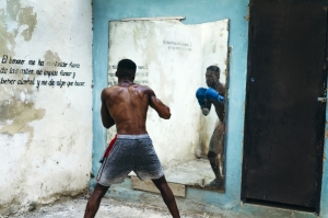 Boxer in Havana ,Cuba