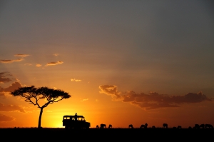 Serene beauty during sunset at Masai Mara, Kenya