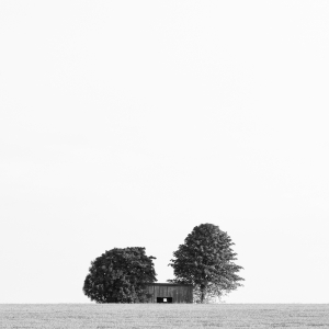 The Cottage in the Fields