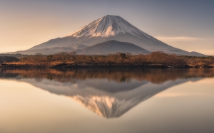Spirit of Mount Fuji