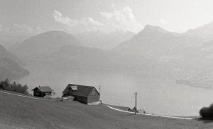Two houses near the lake in Buergenstock