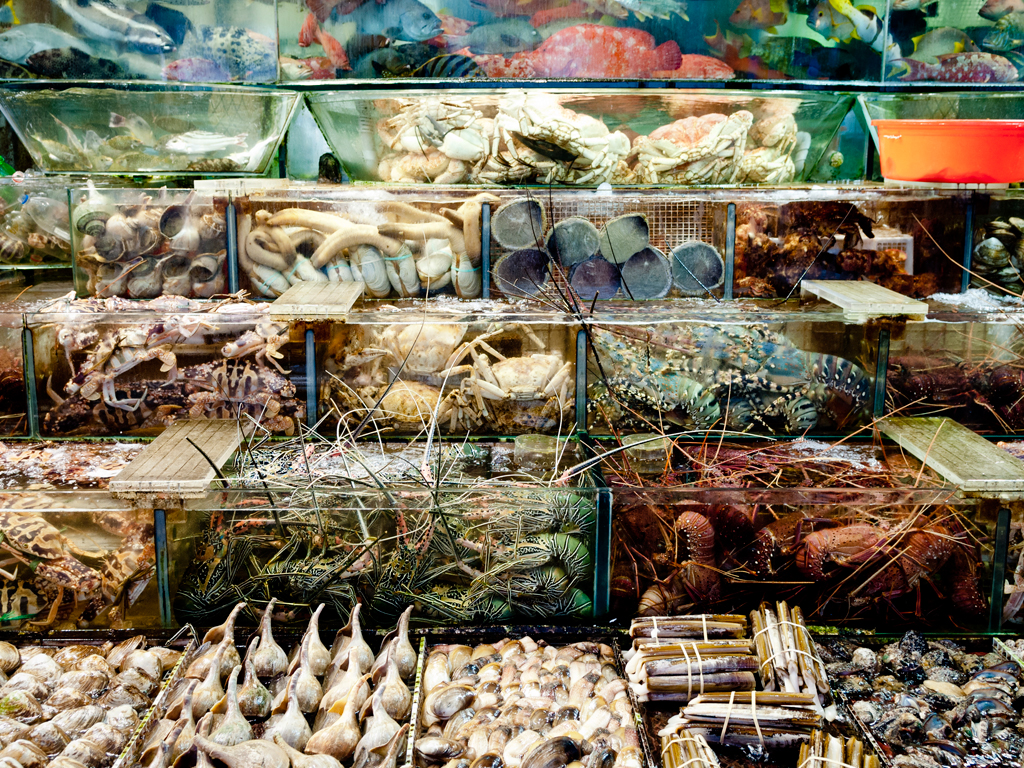 Sai Kung Fishmarket