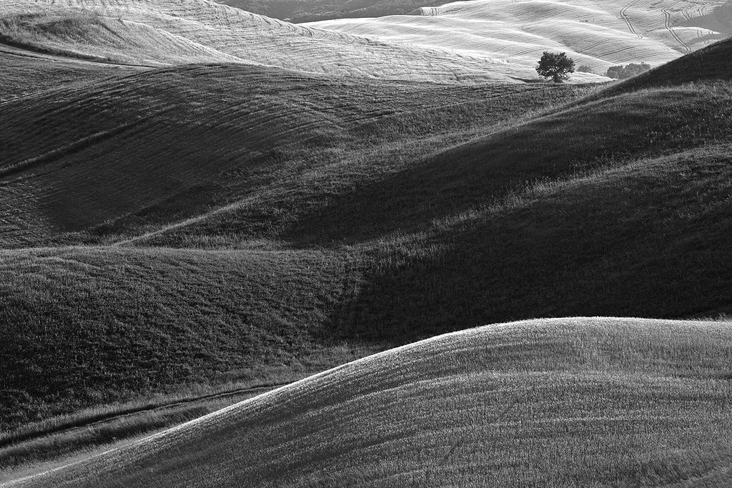 Rolling hills of Tuscany