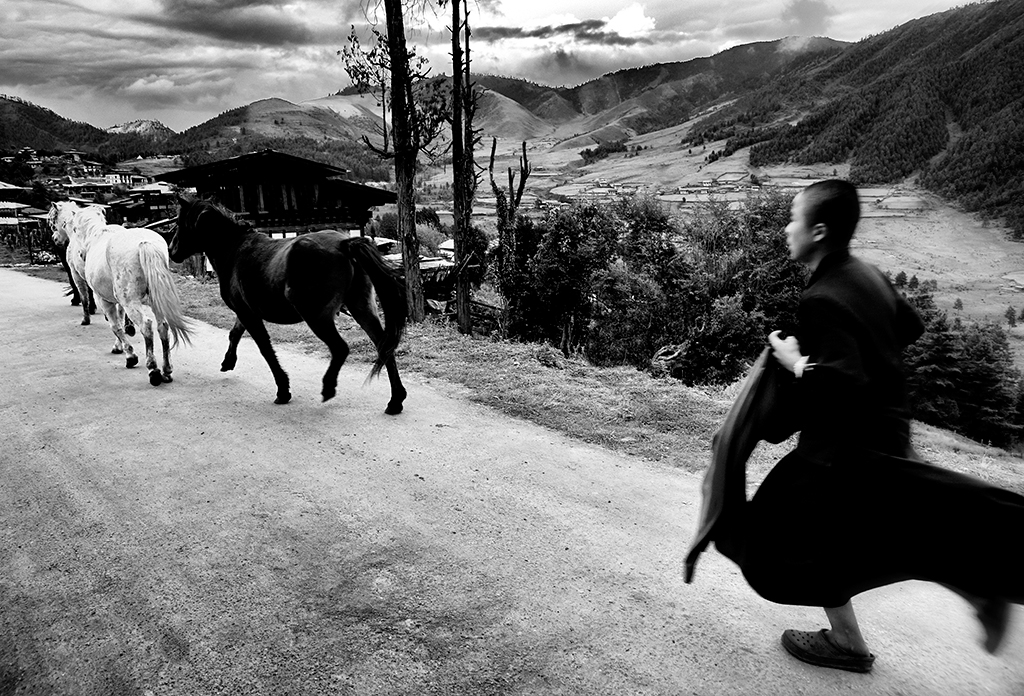 Bhutan horse chase