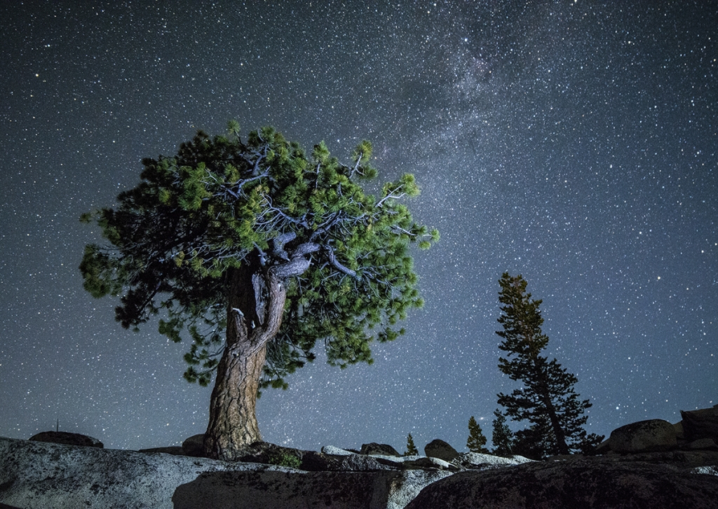 Yosemite at Midnight