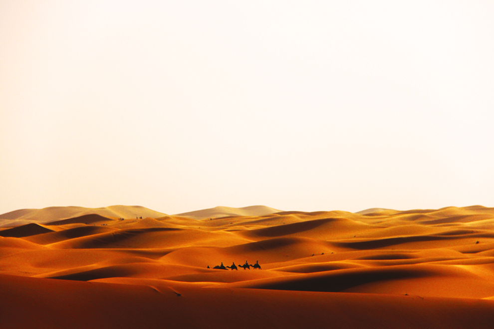 Vast Sahara