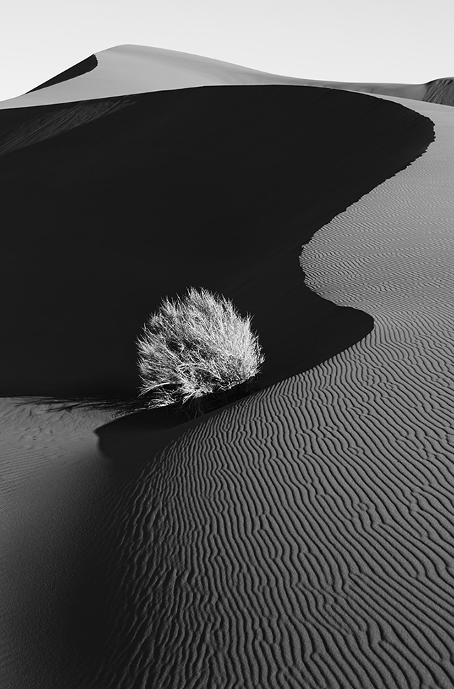 Haven from Dunes: Landscapes Evolving