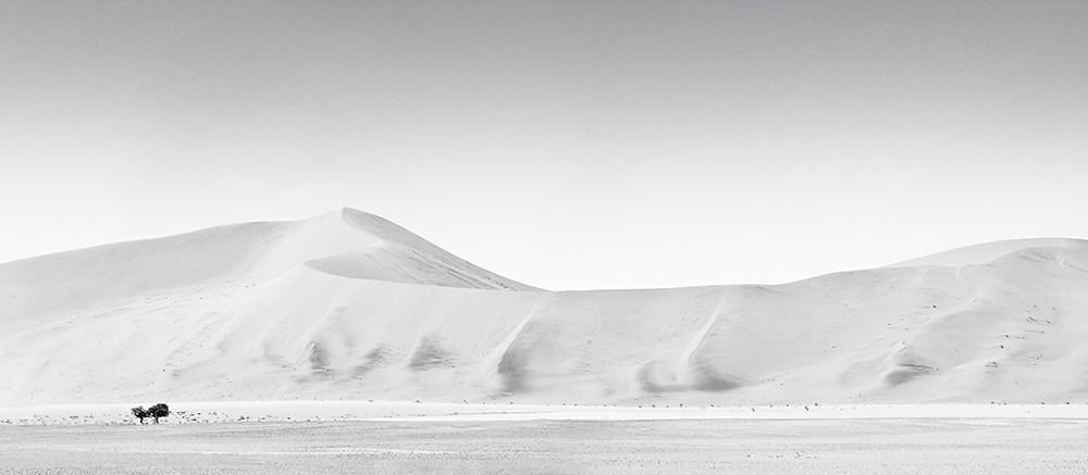 Dunes: Landscapes Evolving