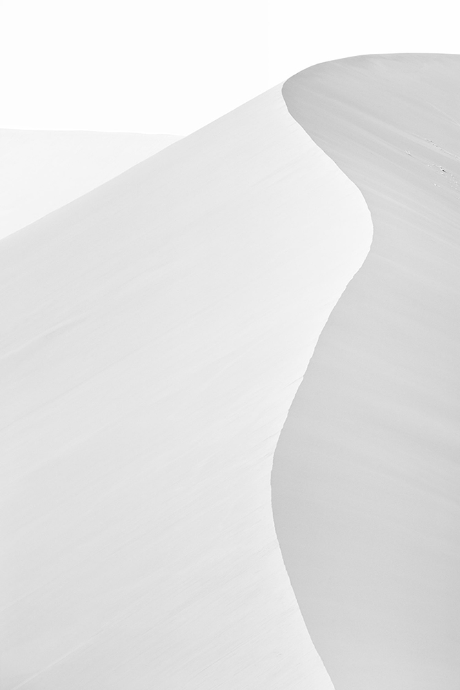 Dunes: Abstract Expressions