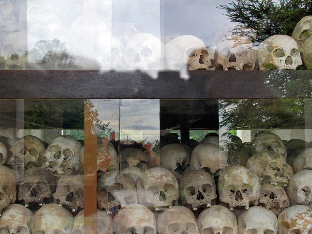 thumbnail Reflections from the Killing Fields