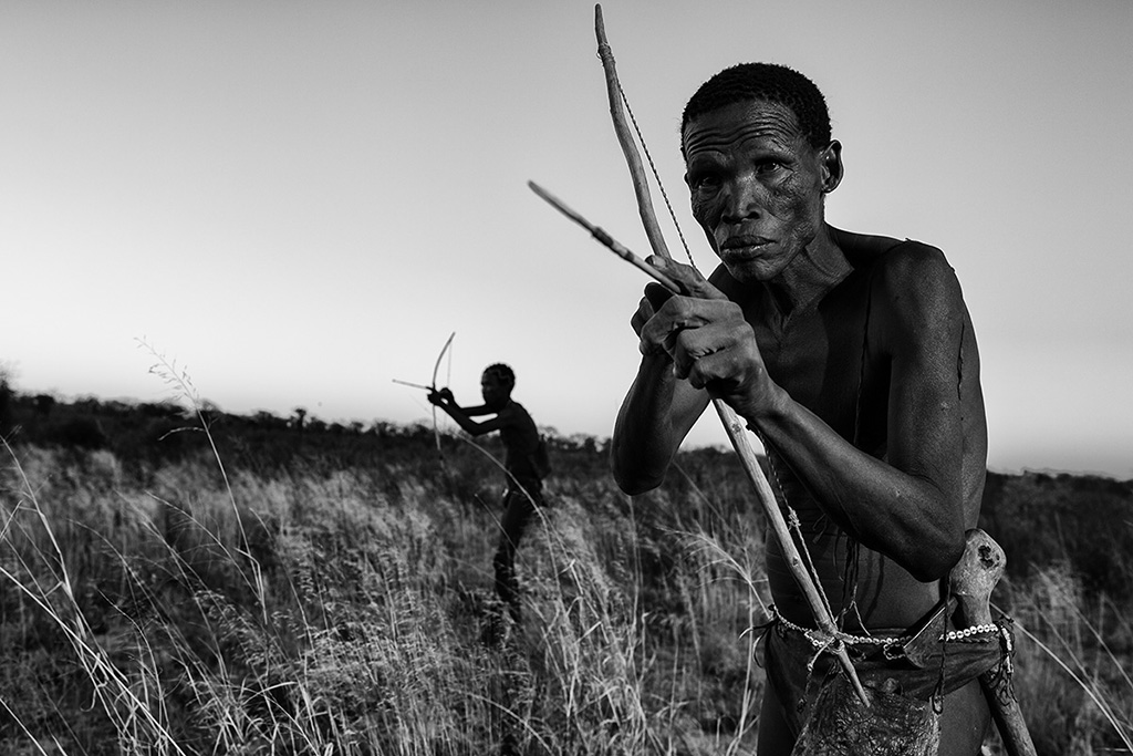 The Way of the Bushmen