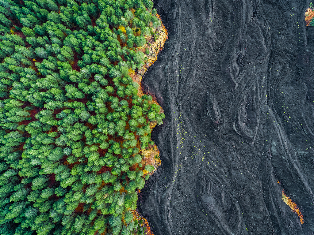 Solidified lava versus Forest