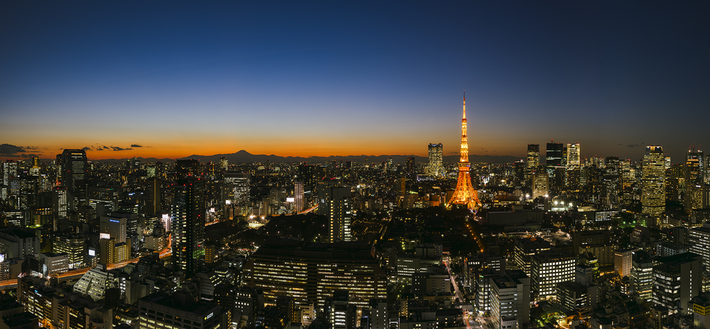 Tokyo twilight
