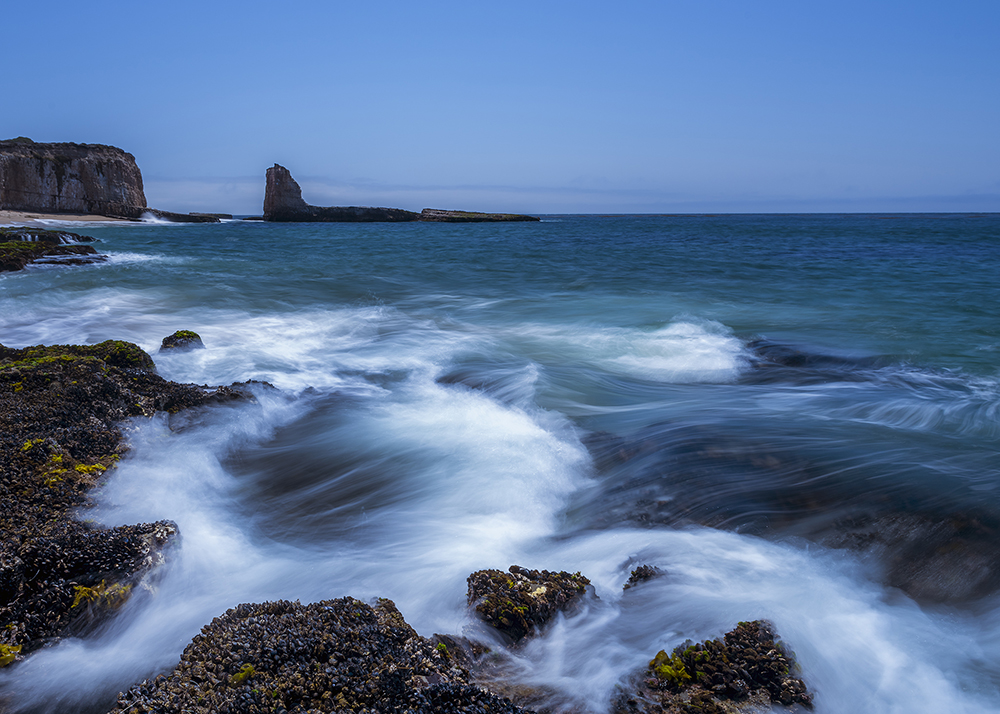 Slow Movement in Santa Cruz