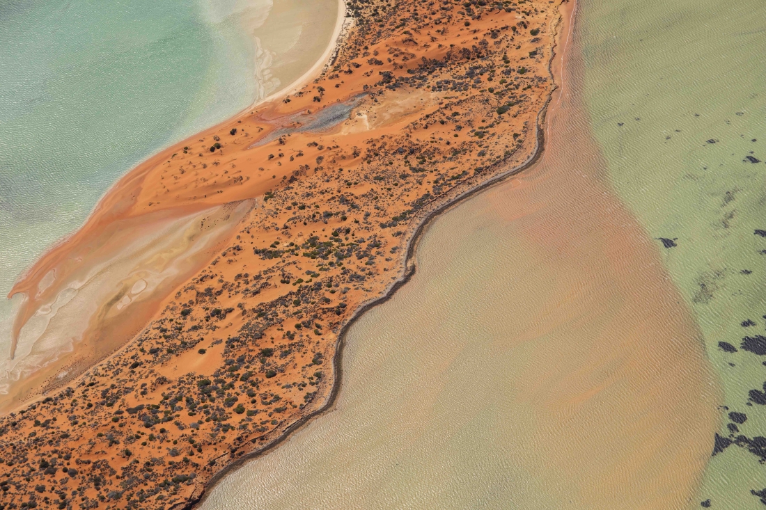 Shark Bay Aerial Series