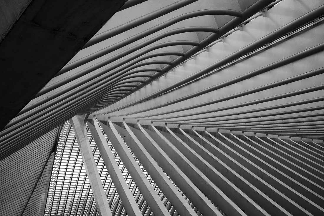 thumbnail Calatrava's Liège-Guillemins station