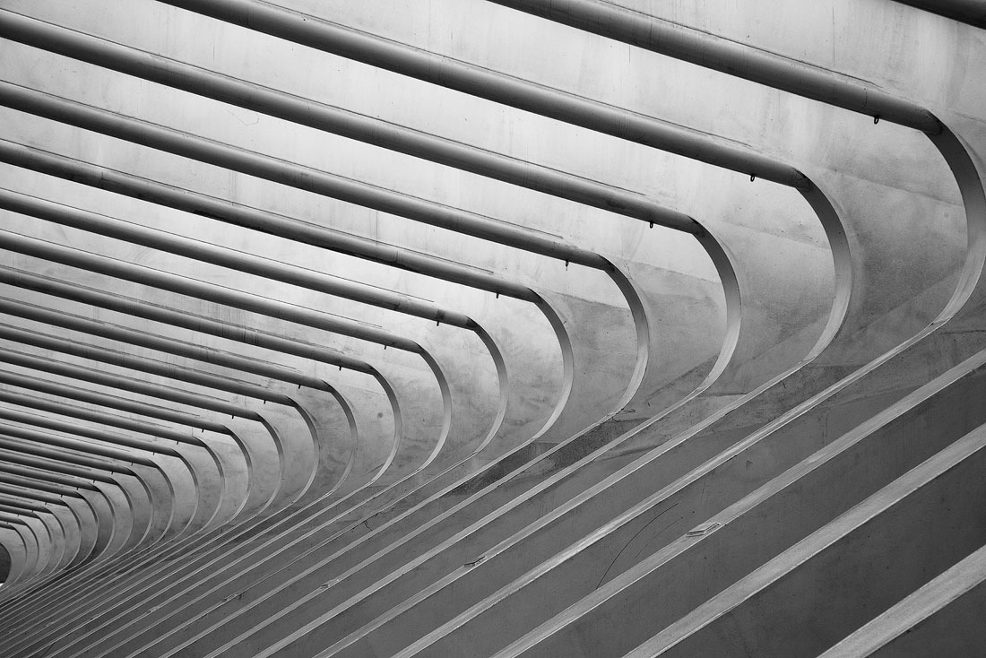 thumbnail Calatrava's Liège-Guillemins station