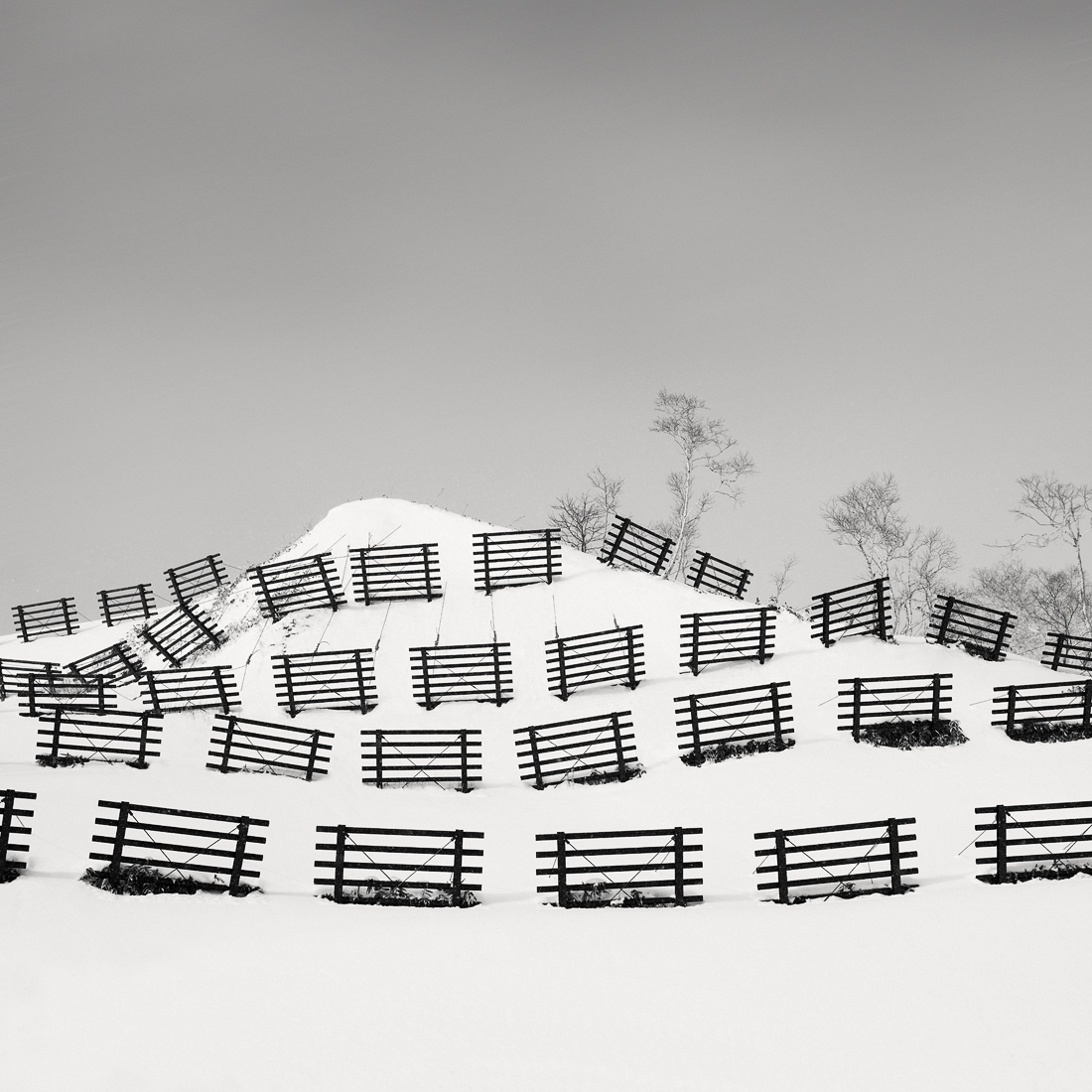Snow Fences