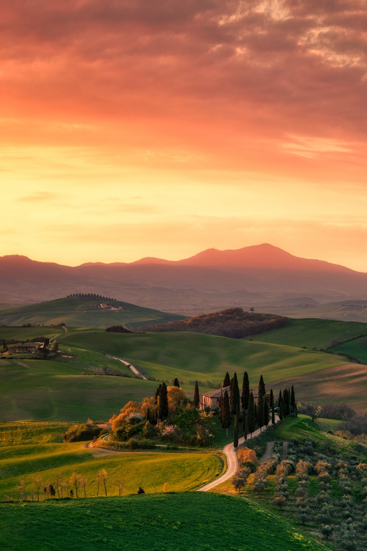 The Tuscan View