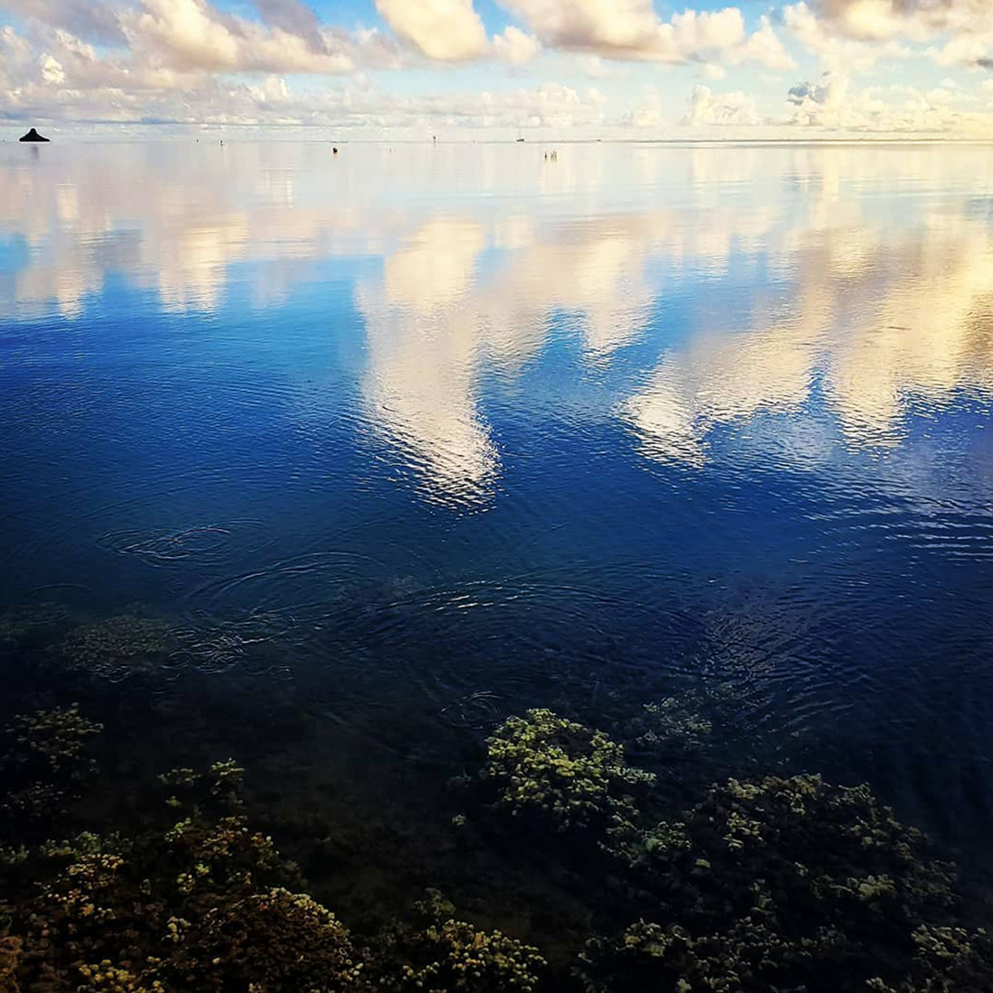 Mirrored - Kāneʻohe Bay