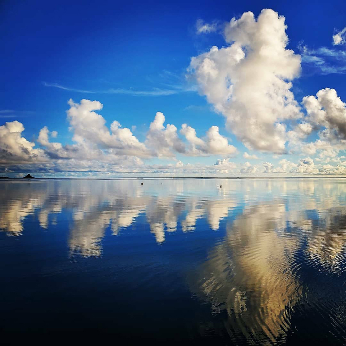 Mirrored - Kāneʻohe Bay