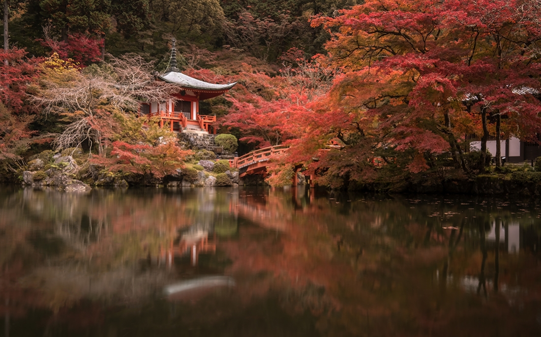 Japan fall foliage