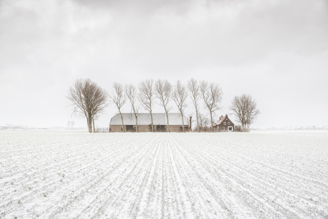 Farm in Snow