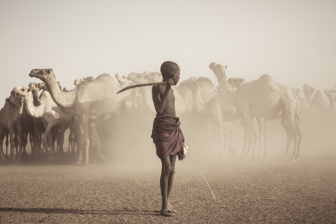 Herders of Africa