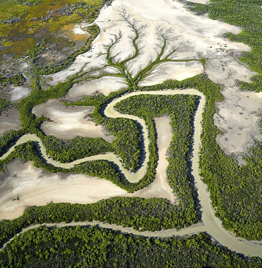 Tidal flats, creeks and mangroves 