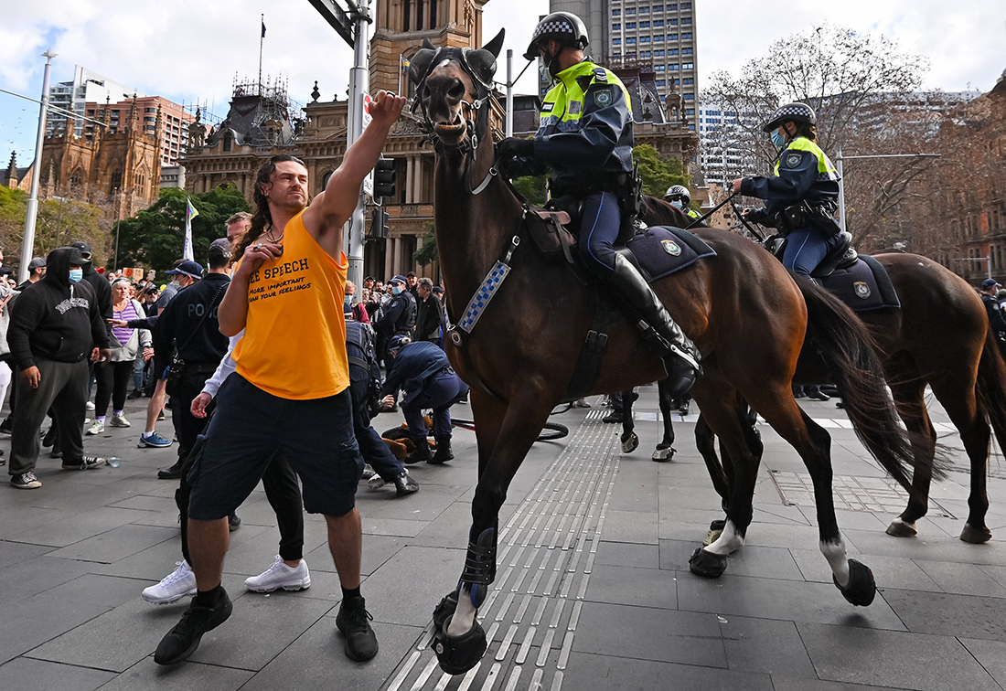Anti-lockdown protester and a police horse