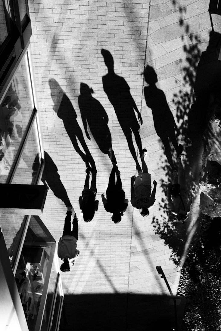When We Become Our Shadows’ Shadows