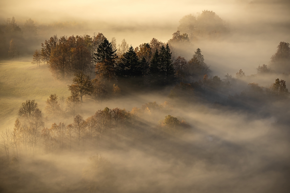 Autumn mists