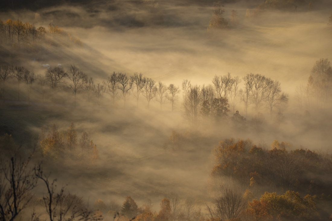 Autumn mists