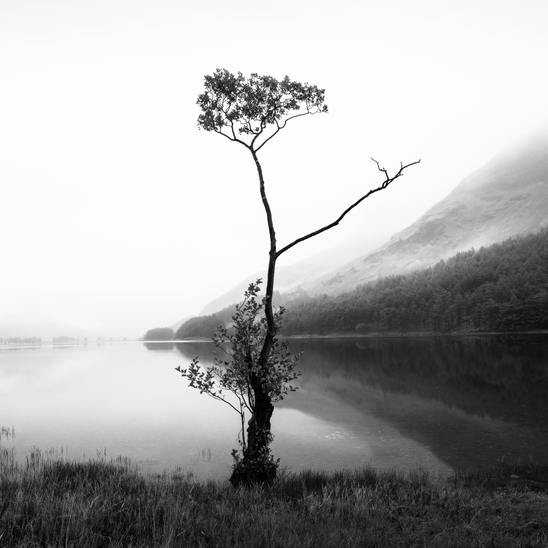 Beaut at Buttermere