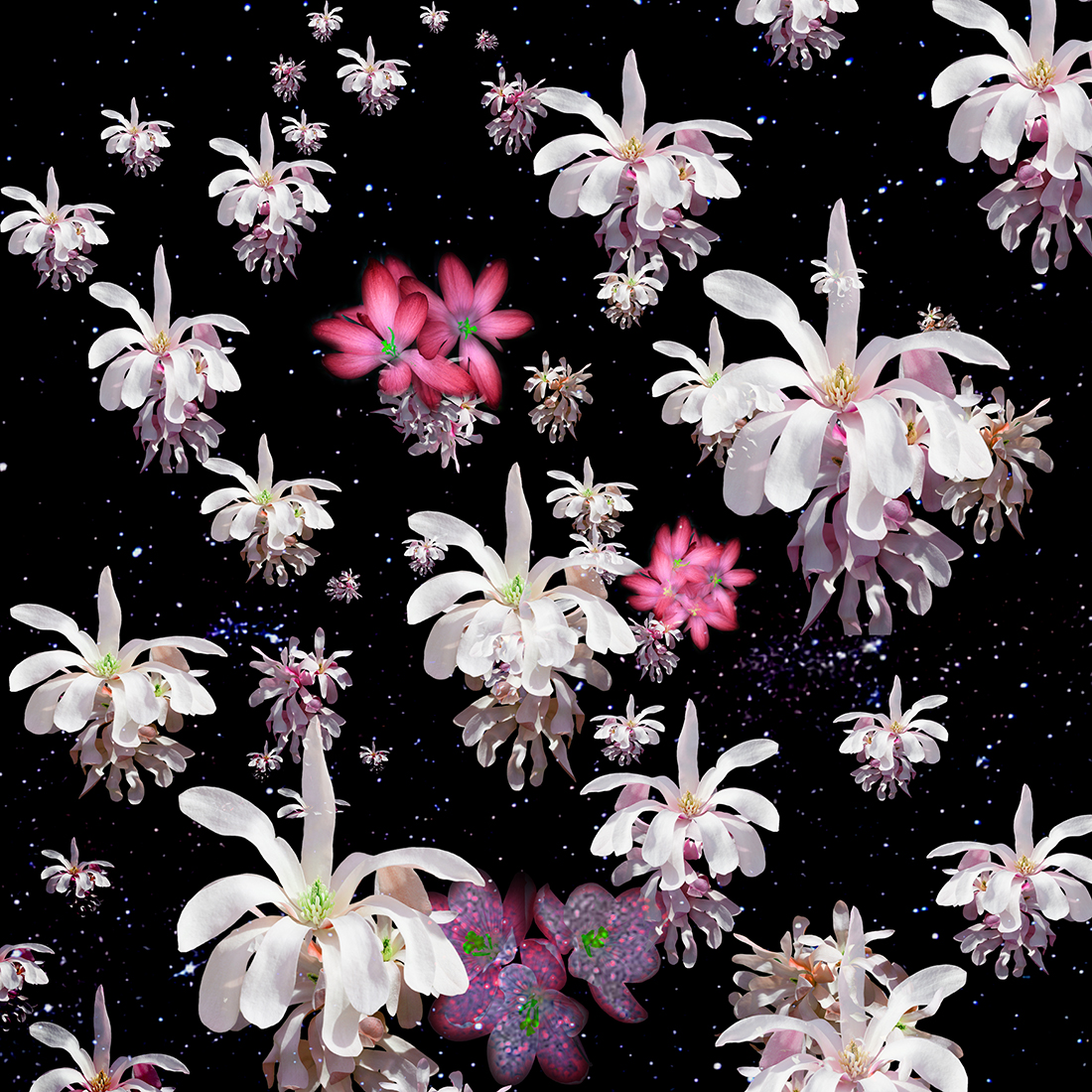 thumbnail flower galaxies